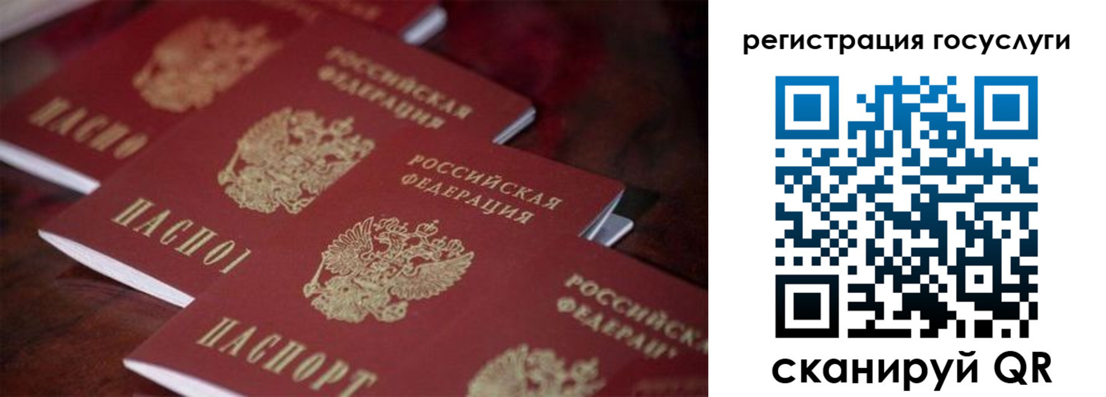 где прописаться в Цимлянске